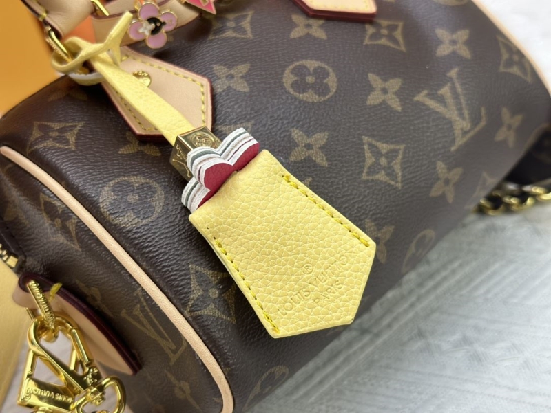 LV Speedy Bags